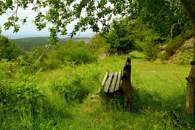 泰拳训练中 泰拳训练中