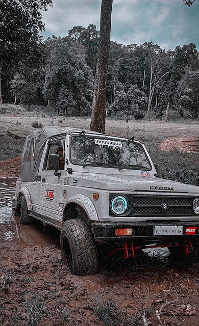 费内巴切和 费内巴切和