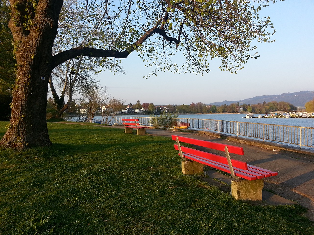 在当下强调 在当下强调