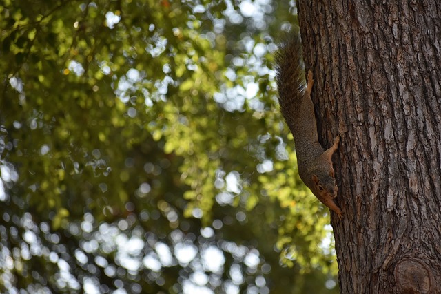 支实力强劲 支实力强劲