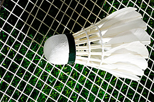 们的厉害之 们的厉害之